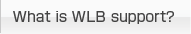 What is WLB support?