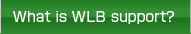 What is WLB support?